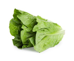 Photo of Fresh green romaine lettuce isolated on white