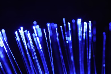 Photo of Optical fiber strands transmitting blue light on black background, closeup