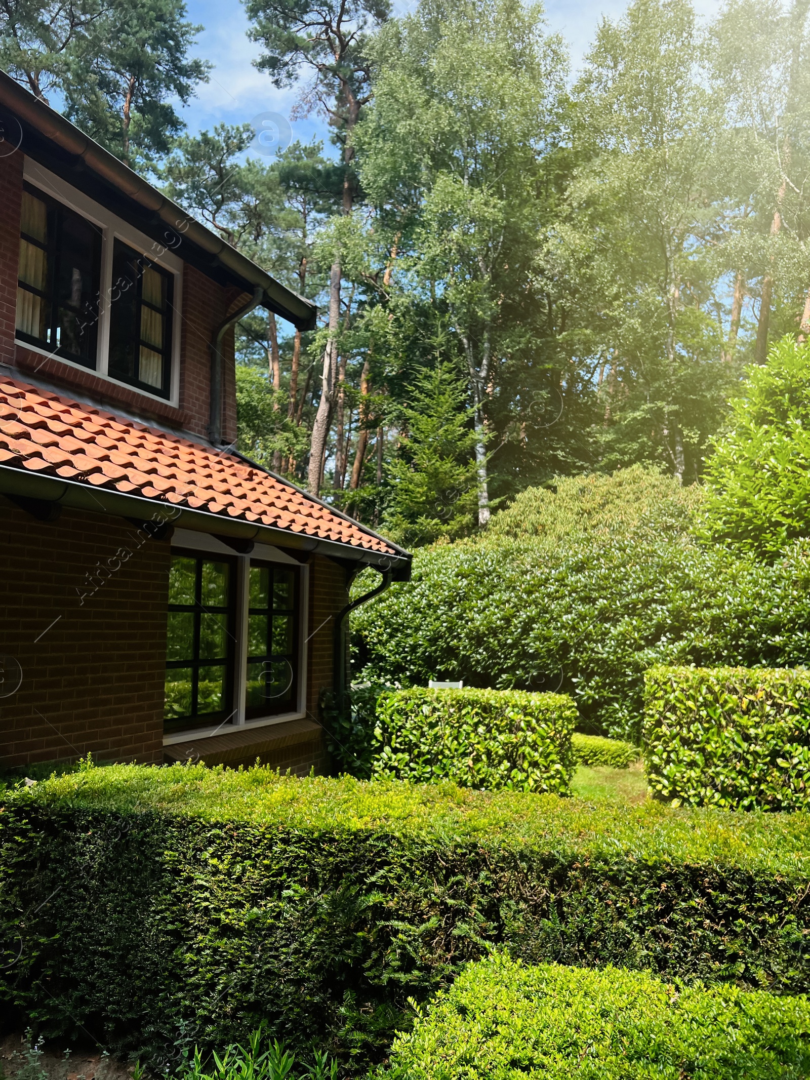 Photo of Beautiful view of house and garden on sunny day