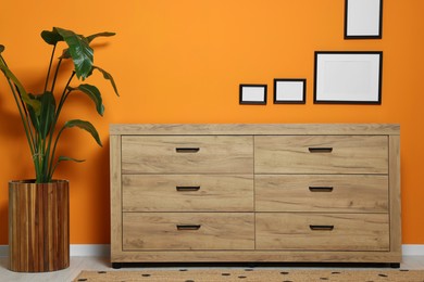 New wooden chest of drawers and beautiful plant near orange wall with empty frames indoors