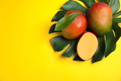 Photo of Flat lay composition with ripe mangoes, monstera leaf and space for text on color background