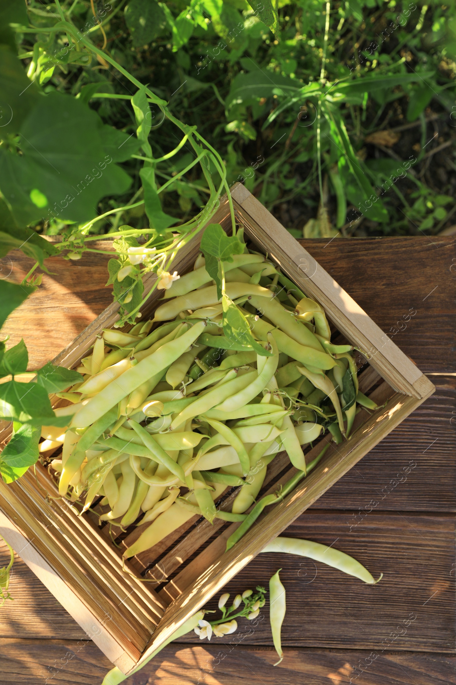 Photo of Crate with fresh green beans on wooden table in garden, top view