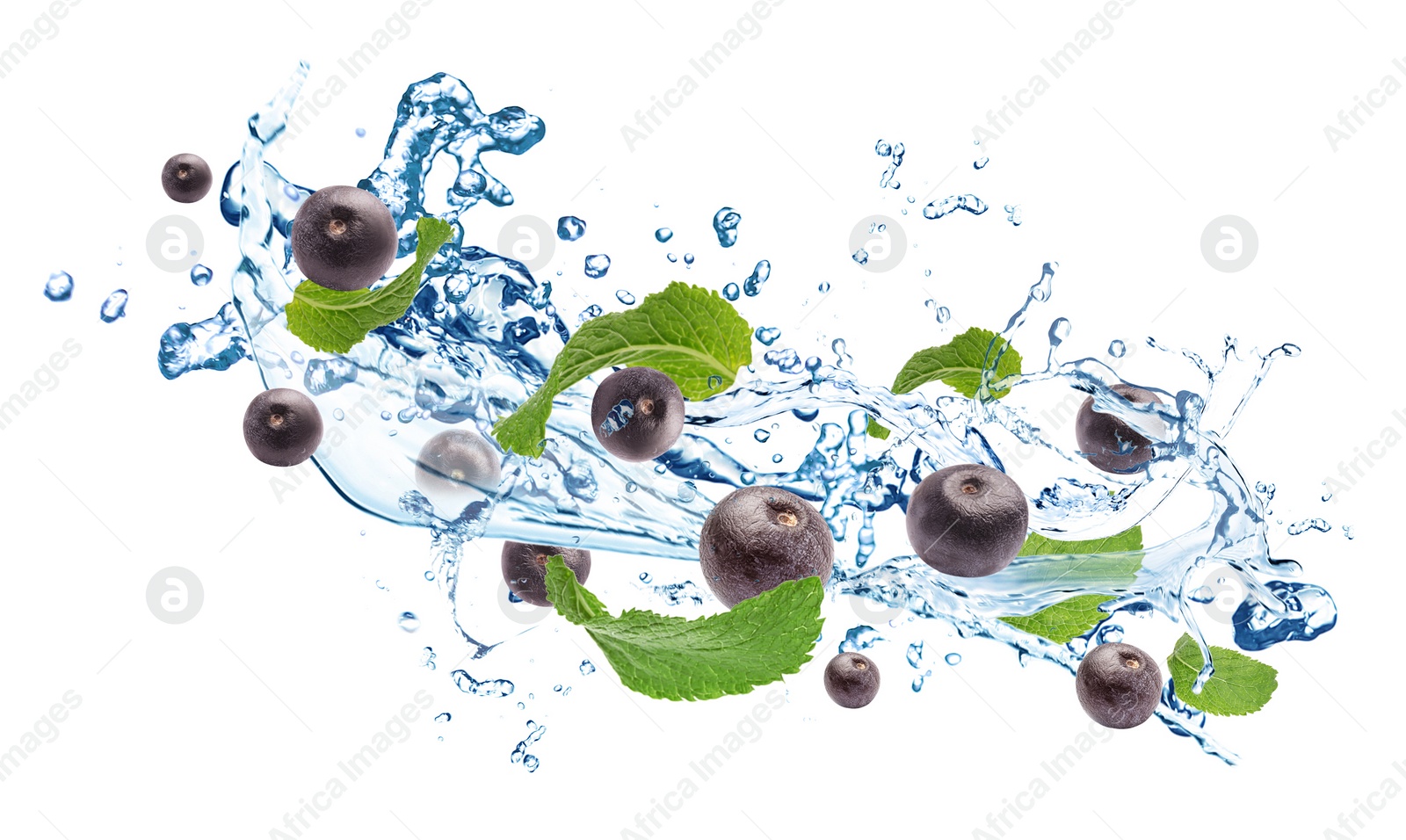 Image of Water splash with acai berries and mint leaves on white background