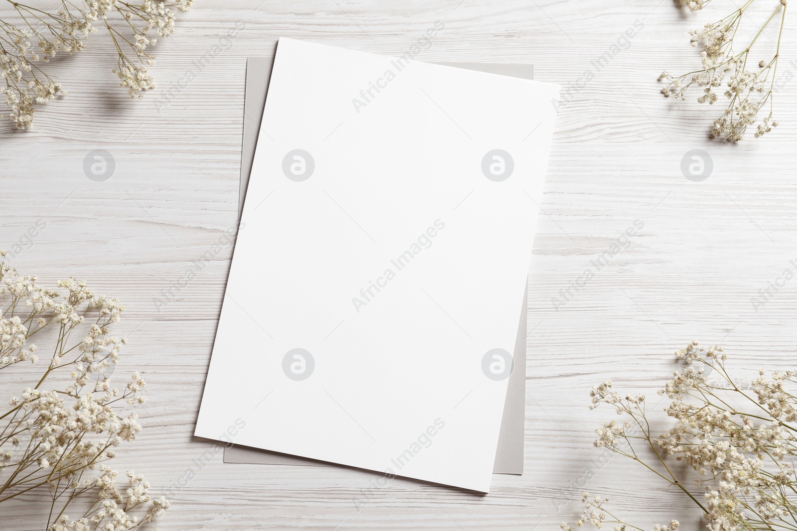 Photo of Empty sheet of paper and gypsophila flowers on white wooden table, flat lay. Mockup for design