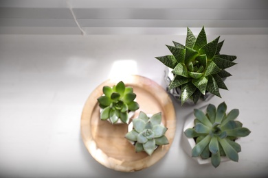 Photo of Beautiful potted succulents on white window sill, flat lay