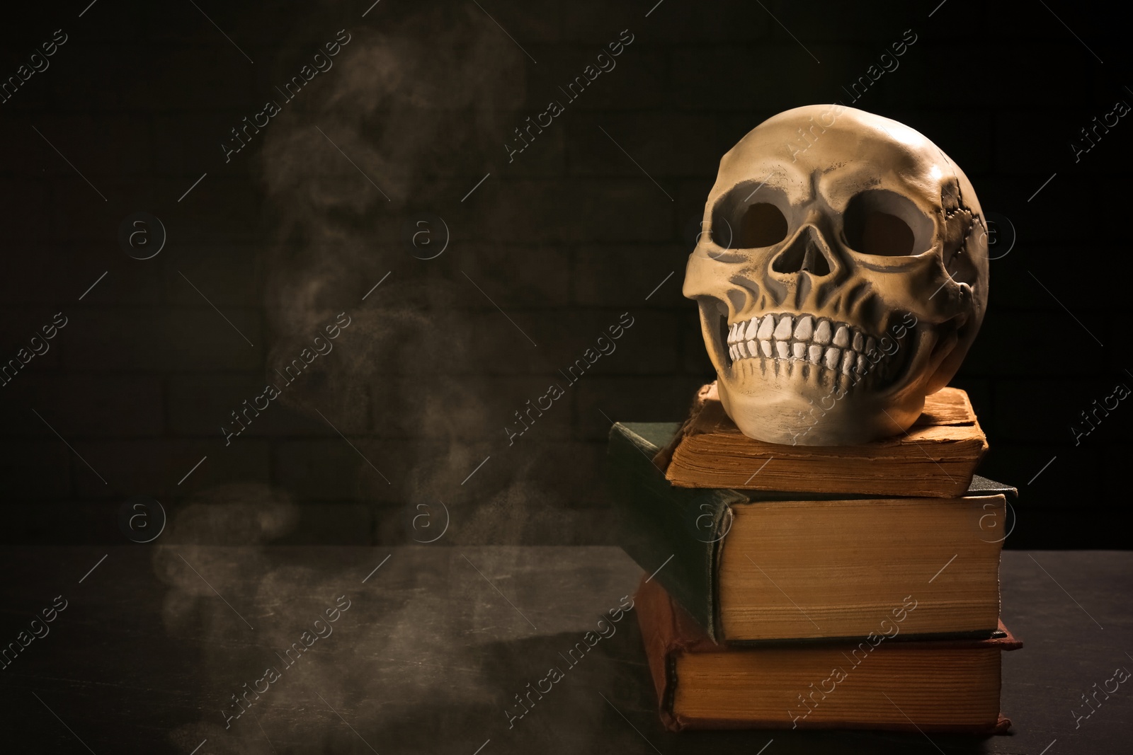 Photo of Human skull with books on black background, space for text