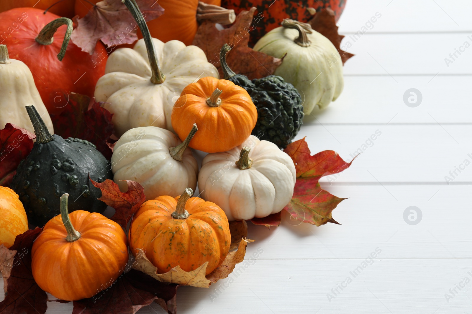 Photo of Thanksgiving day. Different pumpkins and dry leaves on white wooden table, space for text