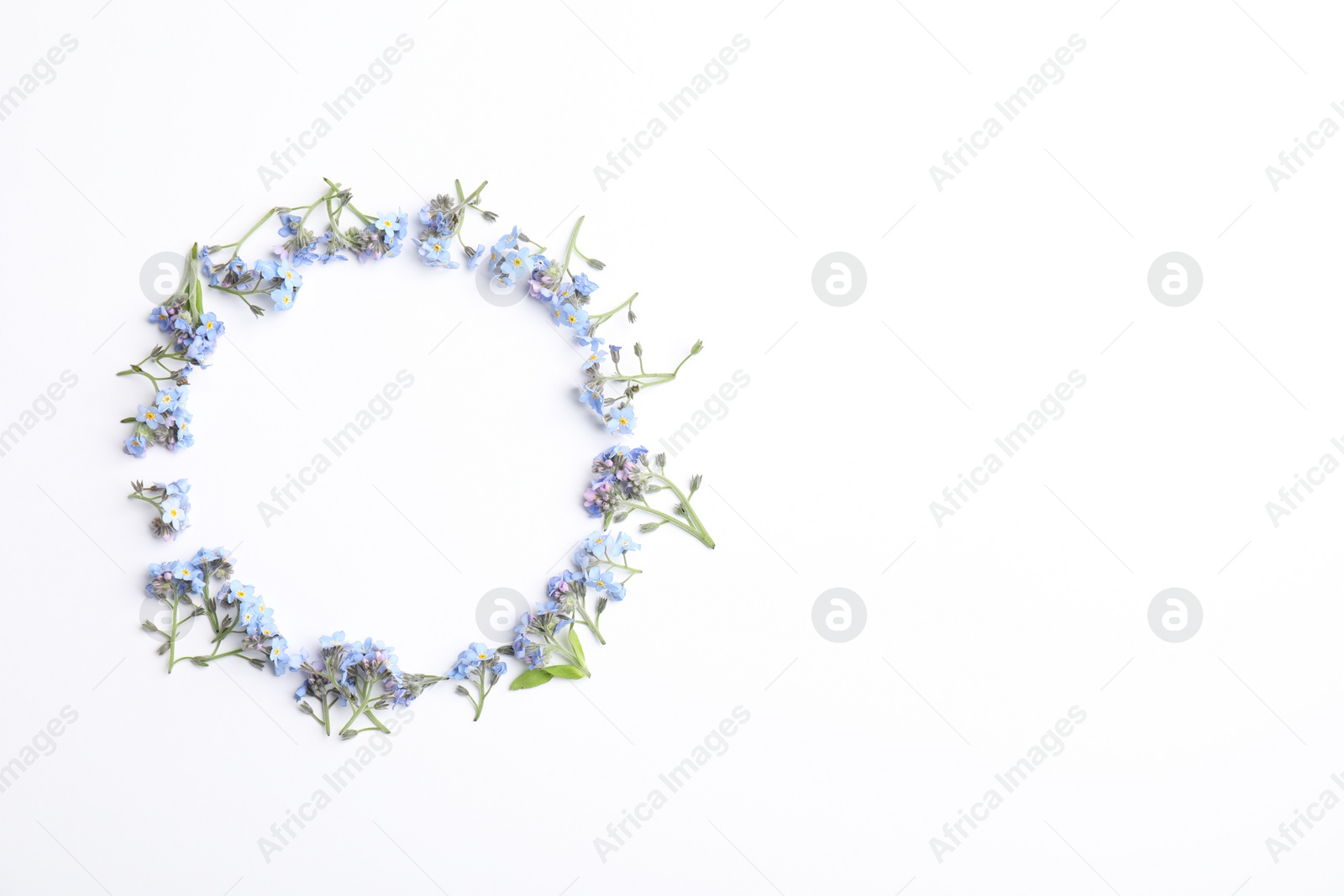 Photo of Round frame of beautiful forget-me-not flowers on white background, top view. Space for text