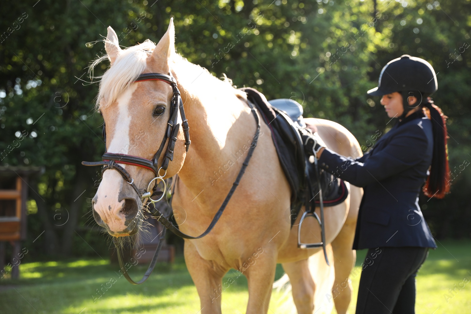 Photo of Young woman in horse riding suit and her beautiful pet outdoors on sunny day