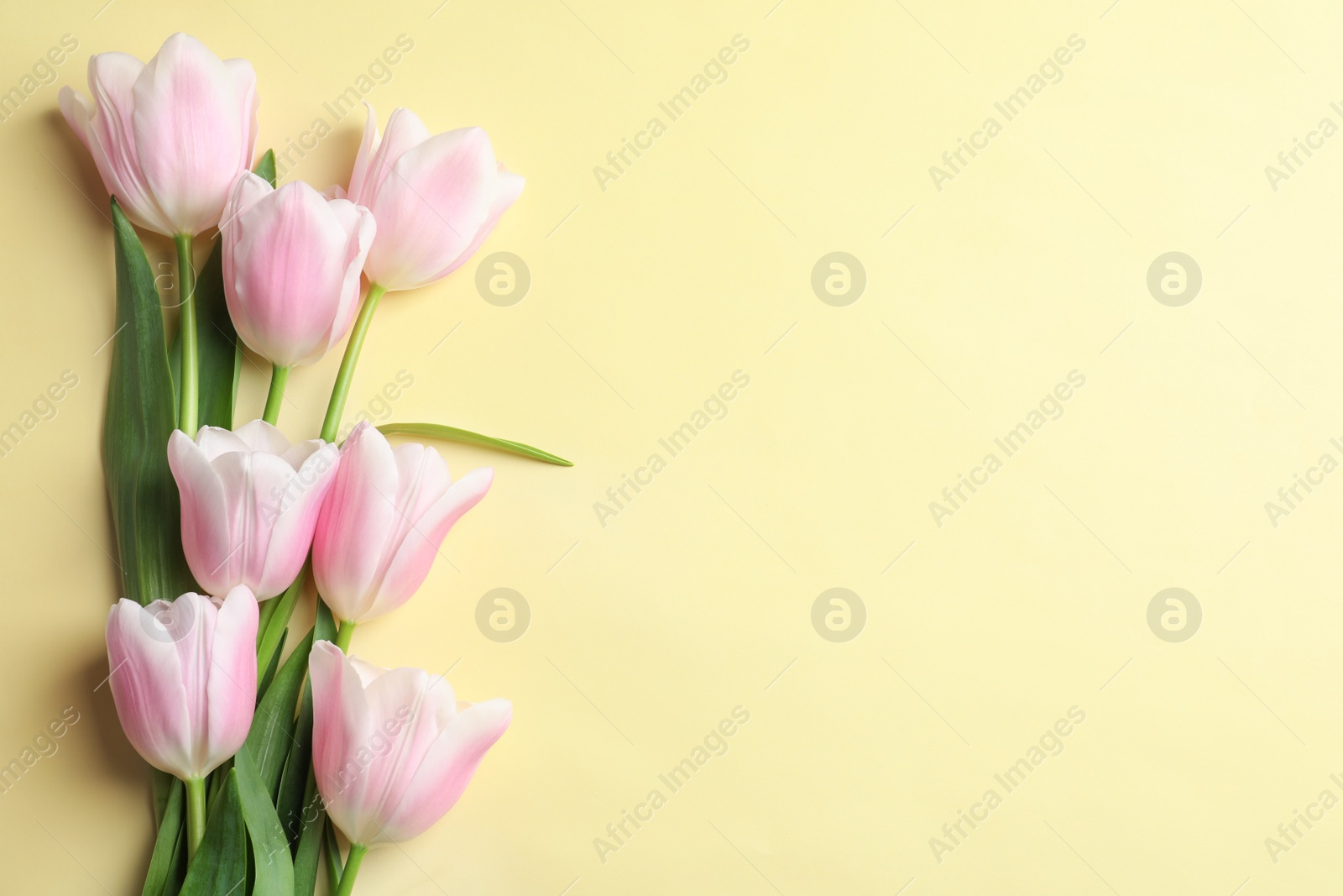 Photo of Beautiful composition with tulips for Mother's Day on color background