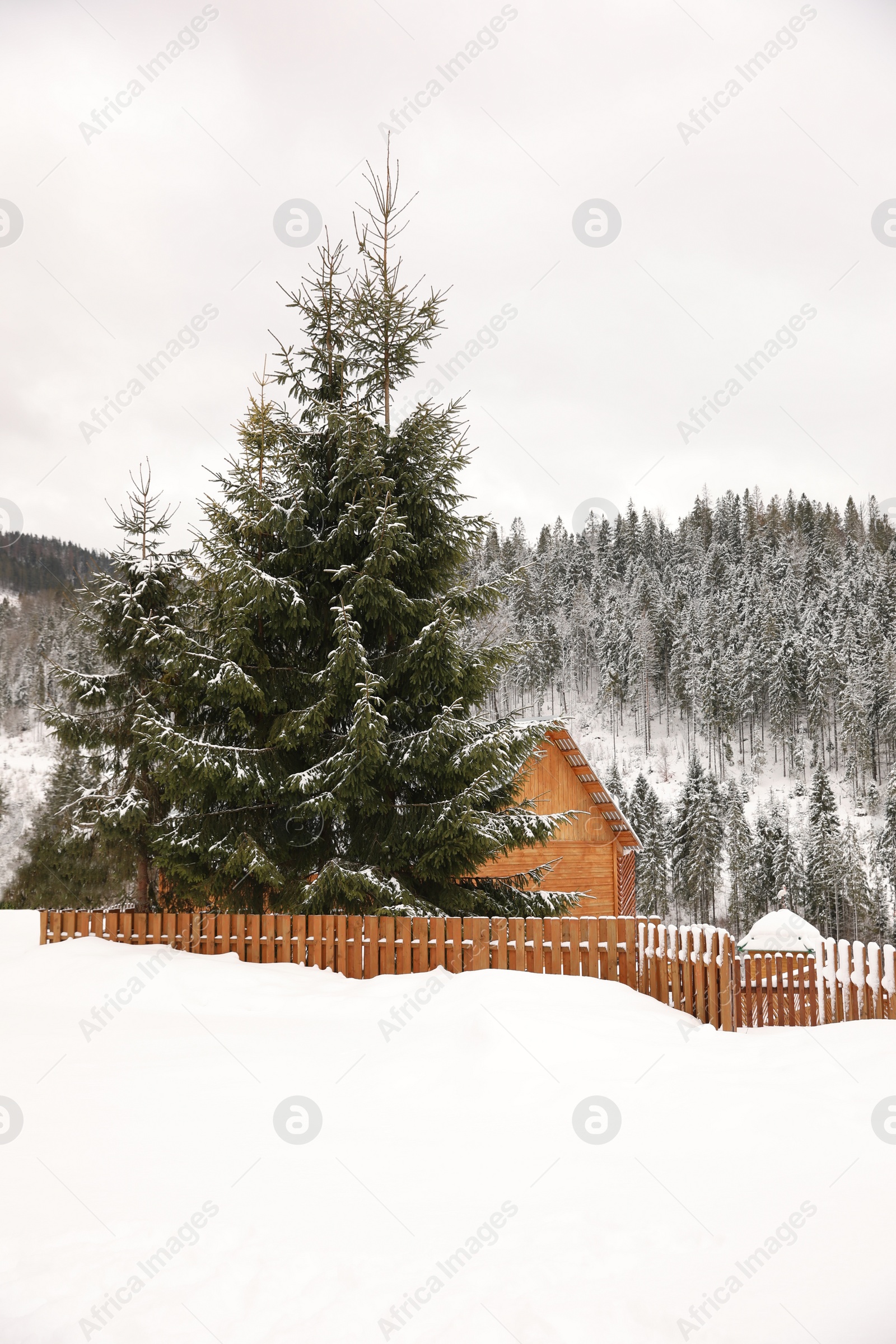 Photo of Beautiful landscape with cottage on snowy winter day