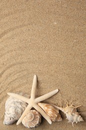 Beautiful starfish and sea shells on sand, flat lay. Space for text