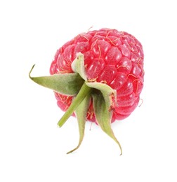 Photo of One tasty ripe raspberry isolated on white