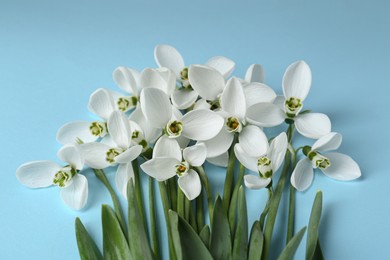 Beautiful snowdrops on light blue background, flat lay