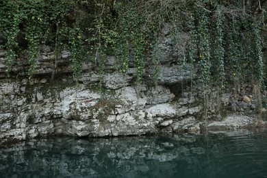 Picturesque view of clean river near cliffs and plants outdoors