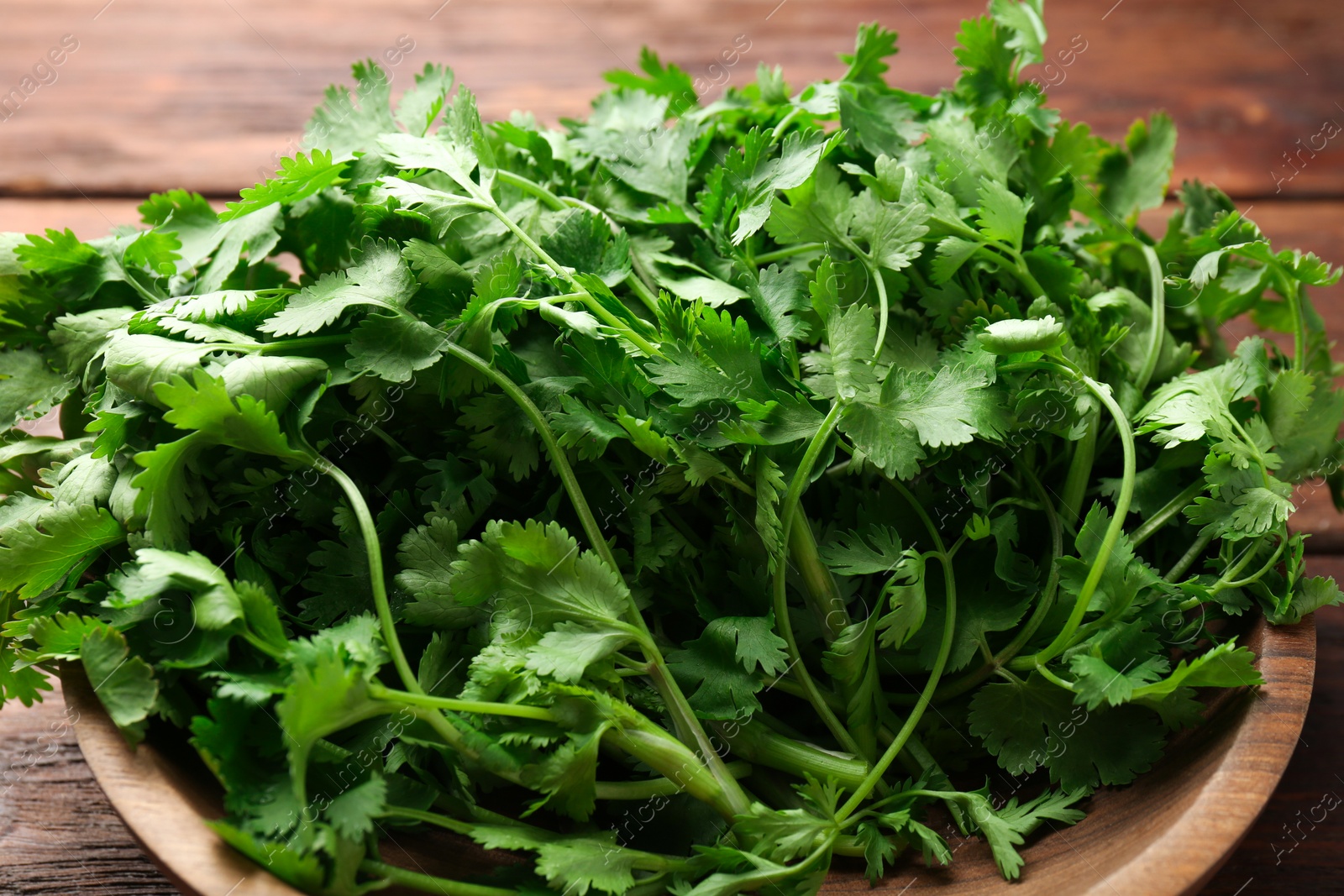 Photo of Fresh coriander in bowl on table, closeup