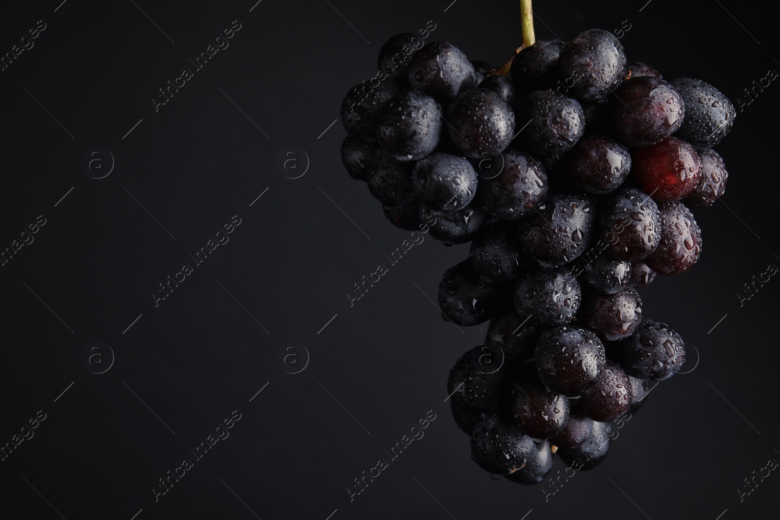 Photo of Fresh ripe juicy grapes and space for text on black background