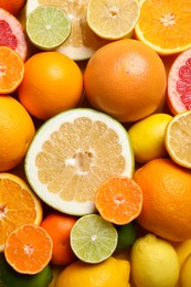 Photo of Different ripe citrus fruits as background, top view