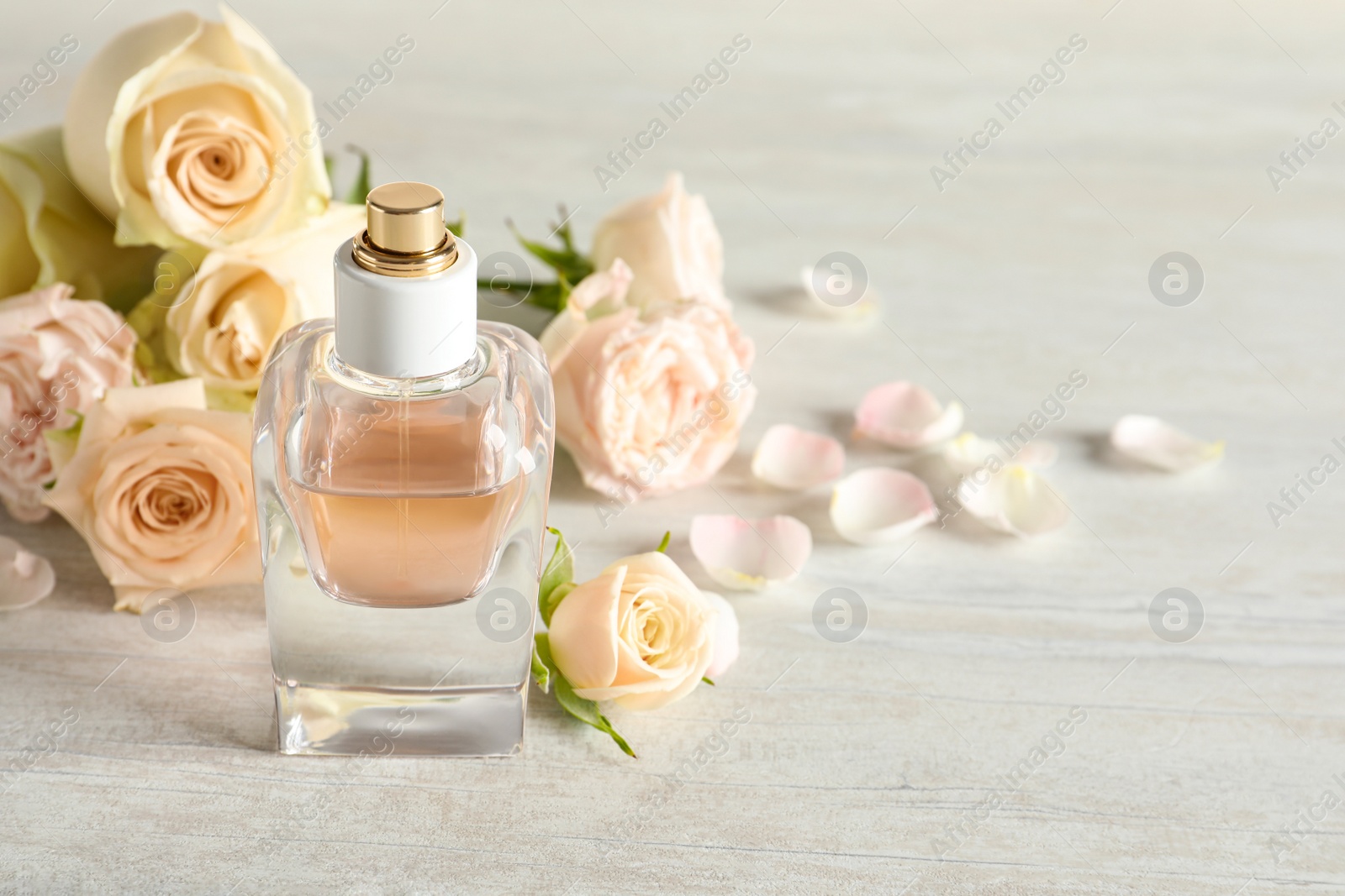 Photo of Elegant bottle of perfume and flowers on light stone background, space for text