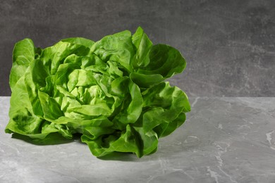 Photo of Fresh green butter lettuce on grey marble table, space for text
