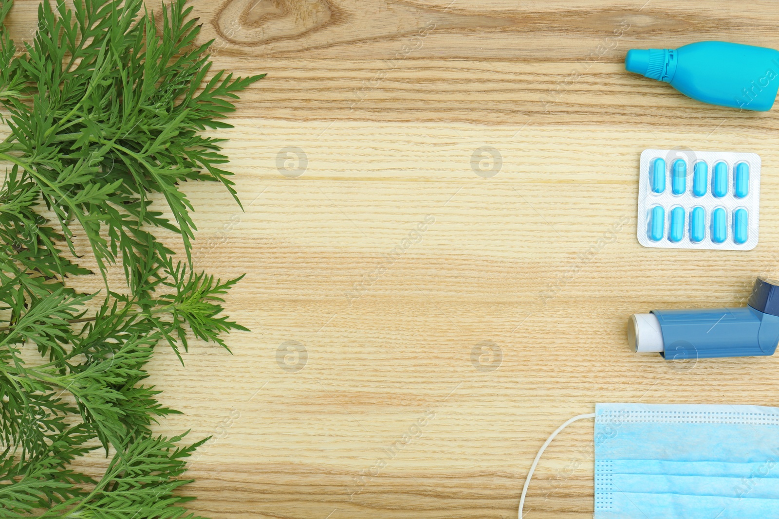 Photo of Flat lay composition with ragweed plant (Ambrosia genus) on wooden background, space for text. Seasonal allergy