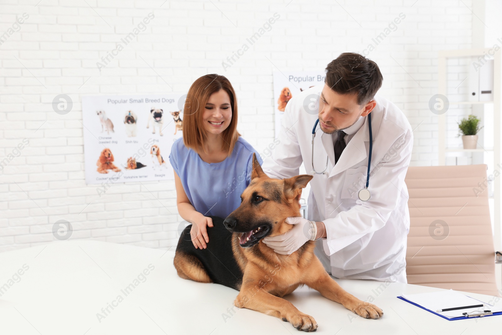 Photo of Woman with her dog visiting veterinarian in clinic