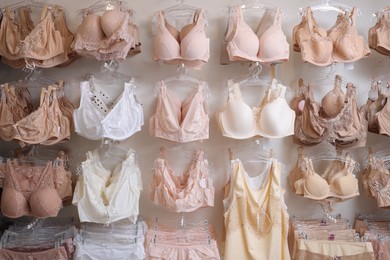 Photo of Many different beautiful women's underwear in lingerie store