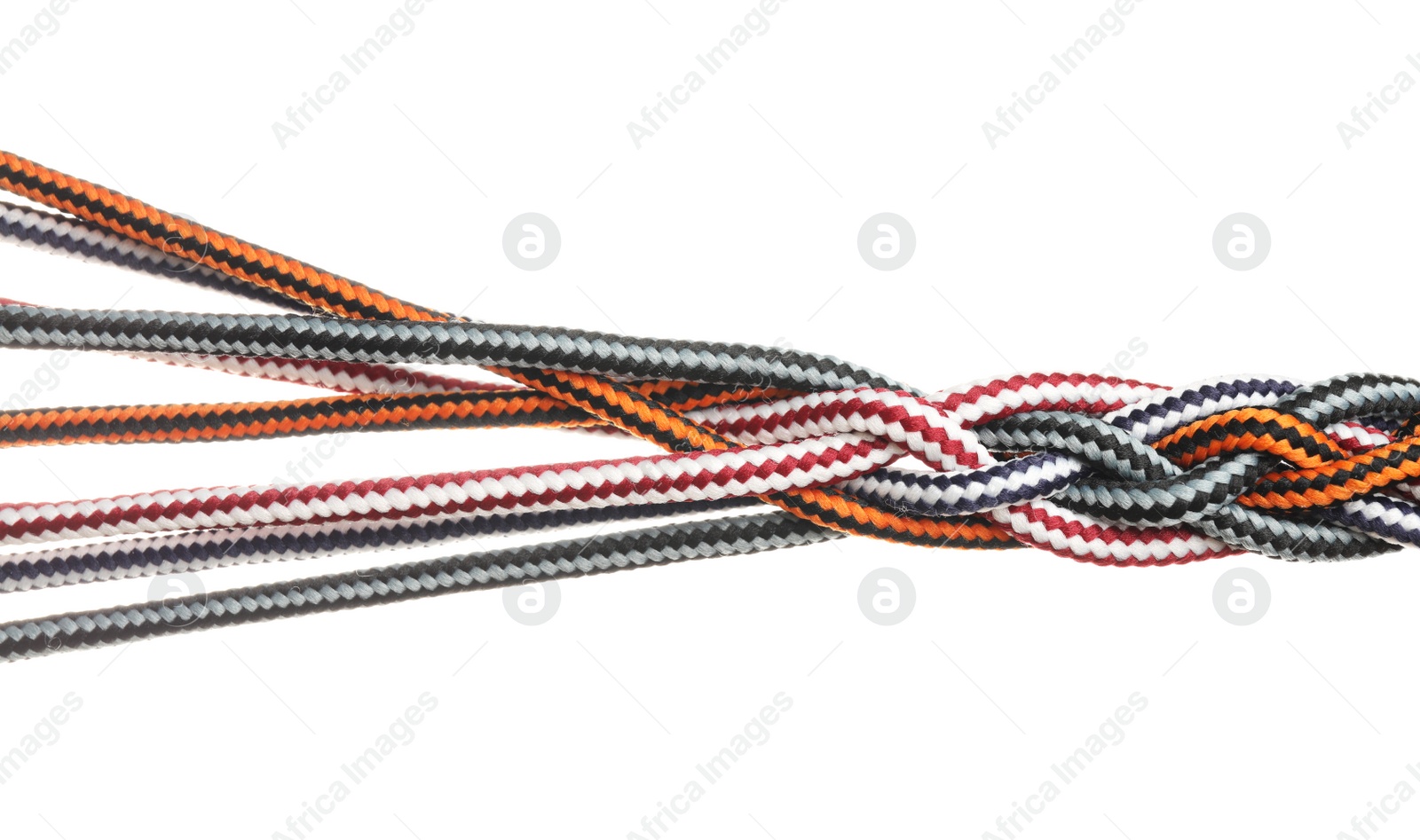 Photo of Braided colorful ropes isolated on white. Unity concept