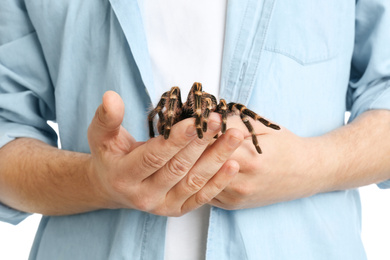 Photo of Man holding hairy striped knee tarantula, closeup