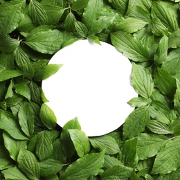 Photo of Blank card on spring green leaves, top view. Space for text