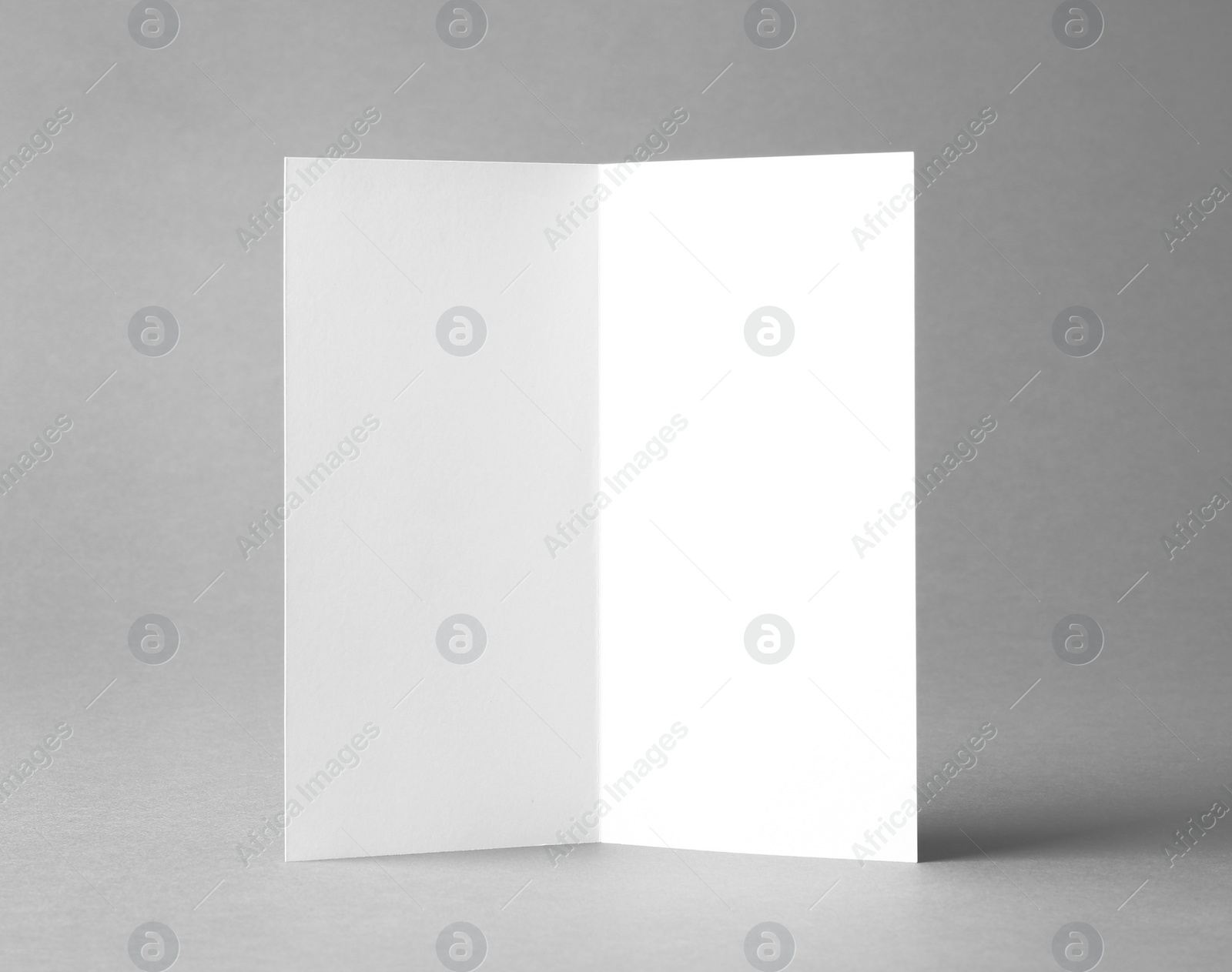 Photo of Blank brochure mock up on color background