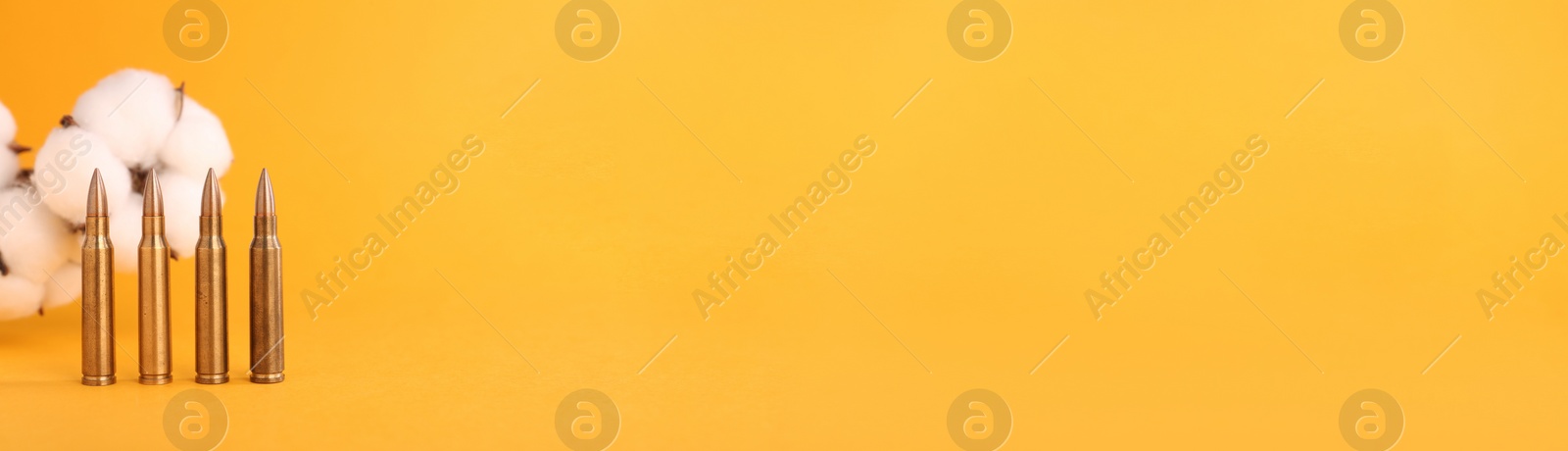 Image of Bullets and beautiful fluffy cotton flowers on orange background, space for text. Banner design