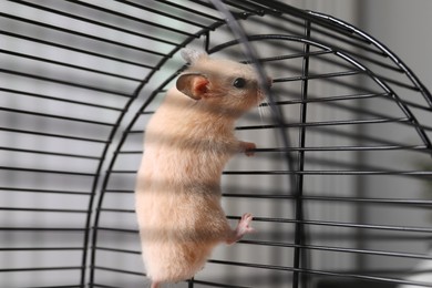 Photo of Cute little fluffy hamster climbing in cage