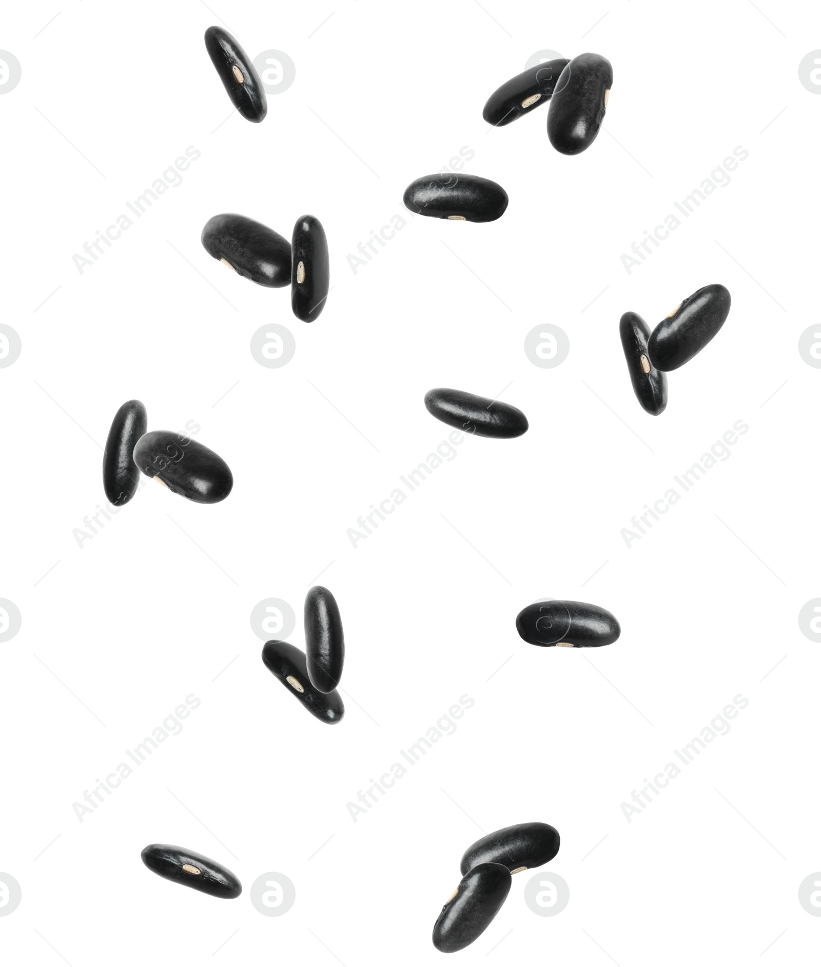 Image of Many black beans falling on white background. Vegan diet 