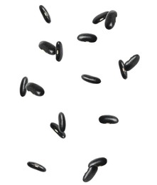 Many black beans falling on white background. Vegan diet 