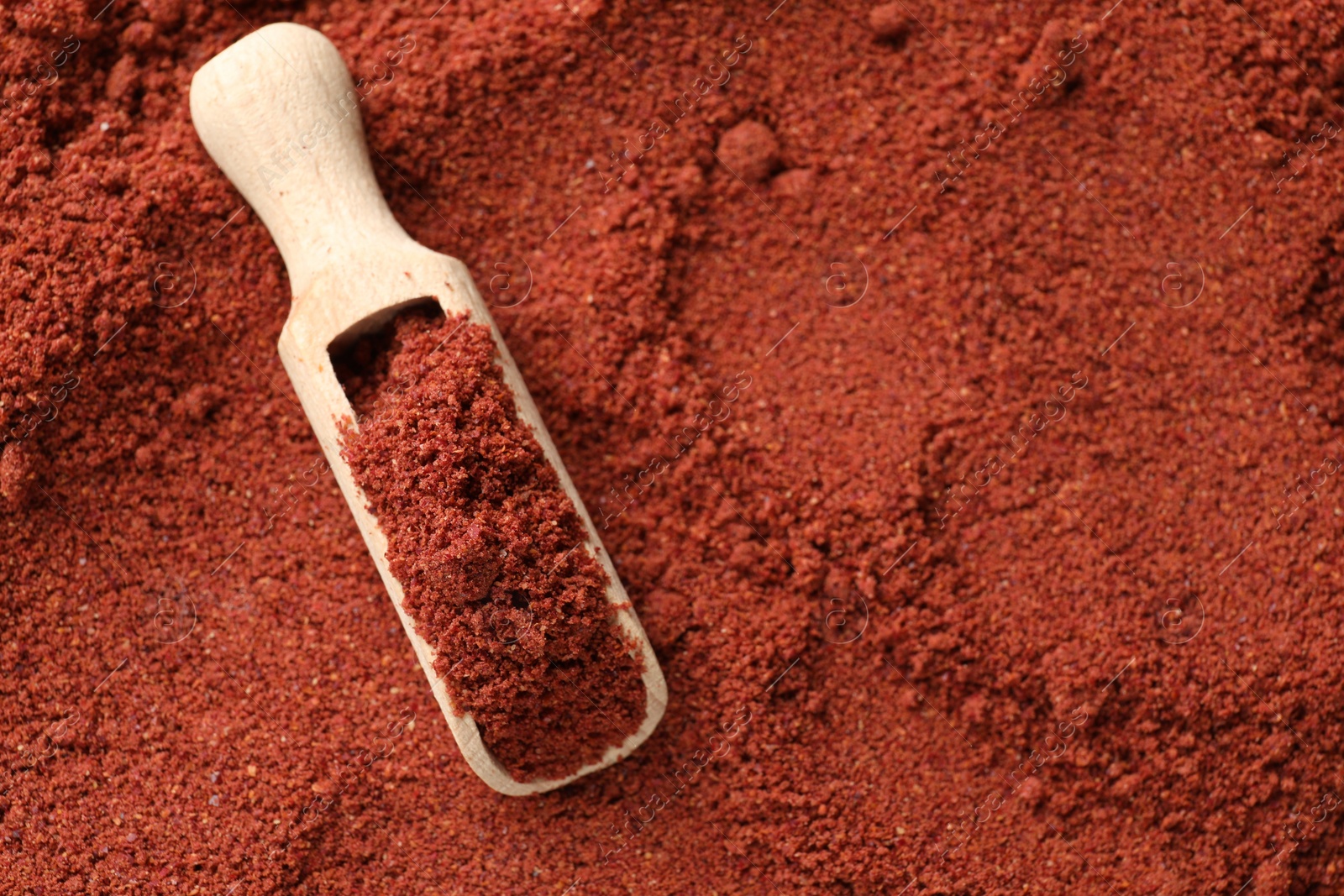 Photo of One wooden scoop on cranberry powder, top view