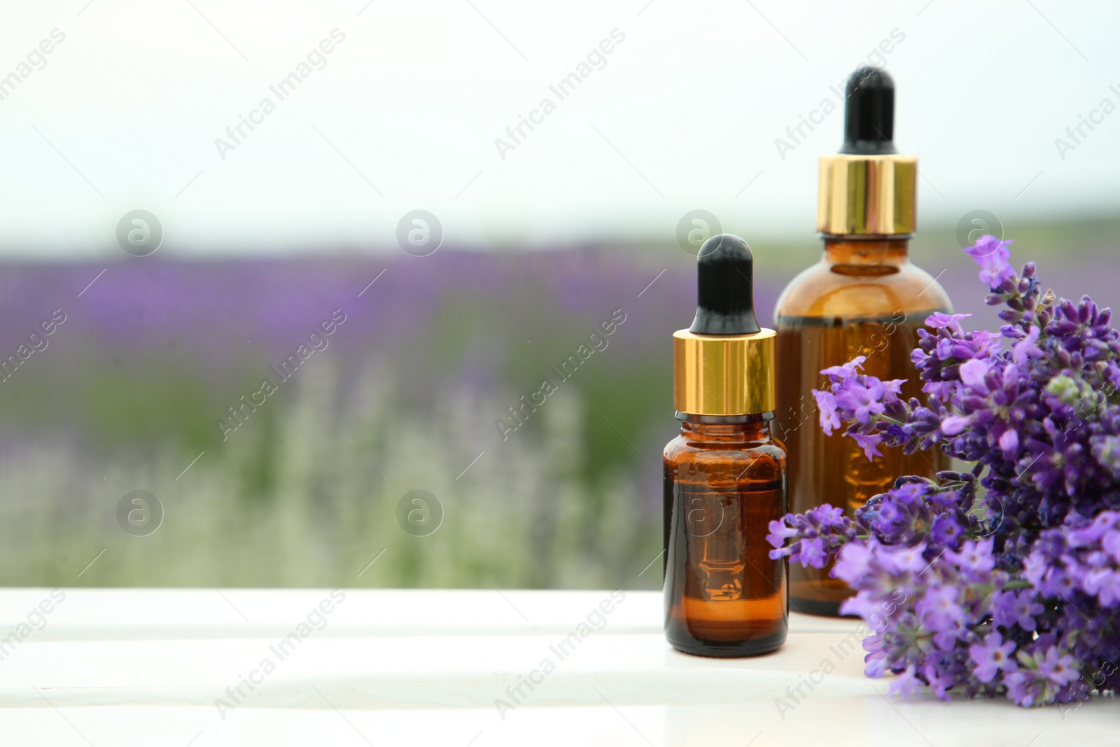 Photo of Bottles of essential oil and lavender flowers on white wooden table in field, space for text