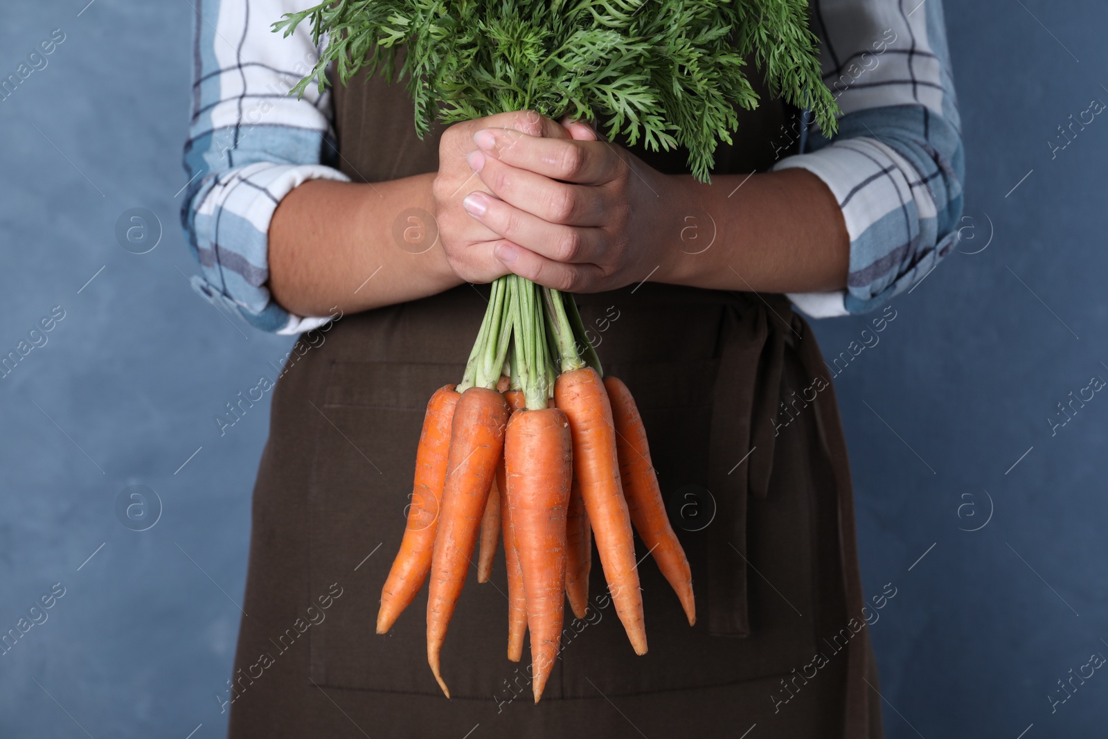 Photo of Woman holding ripe carrots on blue background, closeup