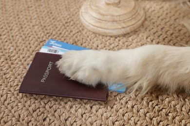 Photo of Dog near passport and tickets at home, closeup. Travelling with pet