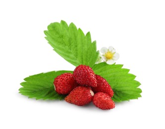 Ripe wild strawberries, green leaves and flower isolated on white