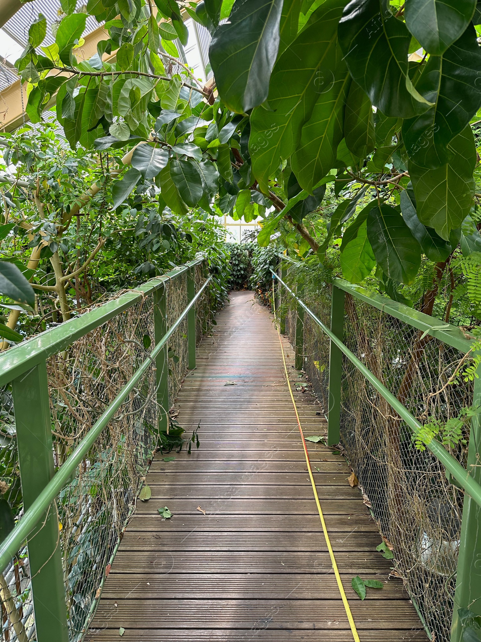 Photo of Bridge with railings among plants in botanic garden