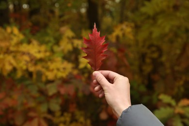 Woman holding beautiful dry leaf outdoors, closeup. Autumn season