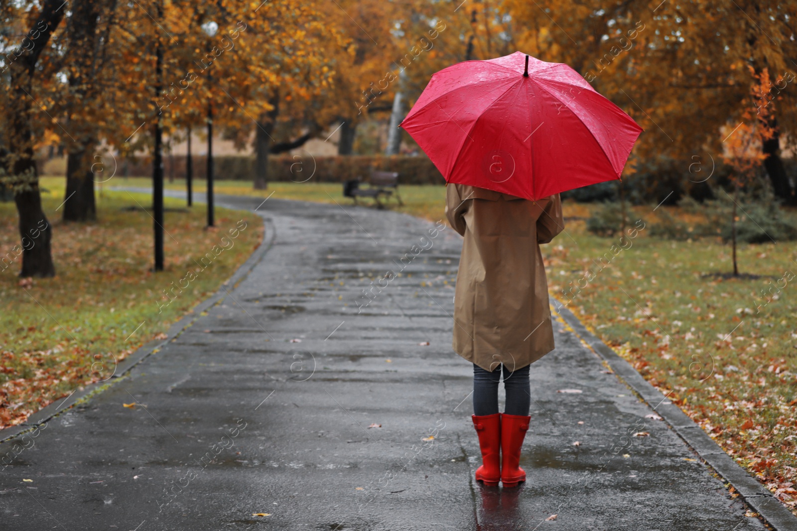 Photo of Woman with umbrella in autumn park on rainy day