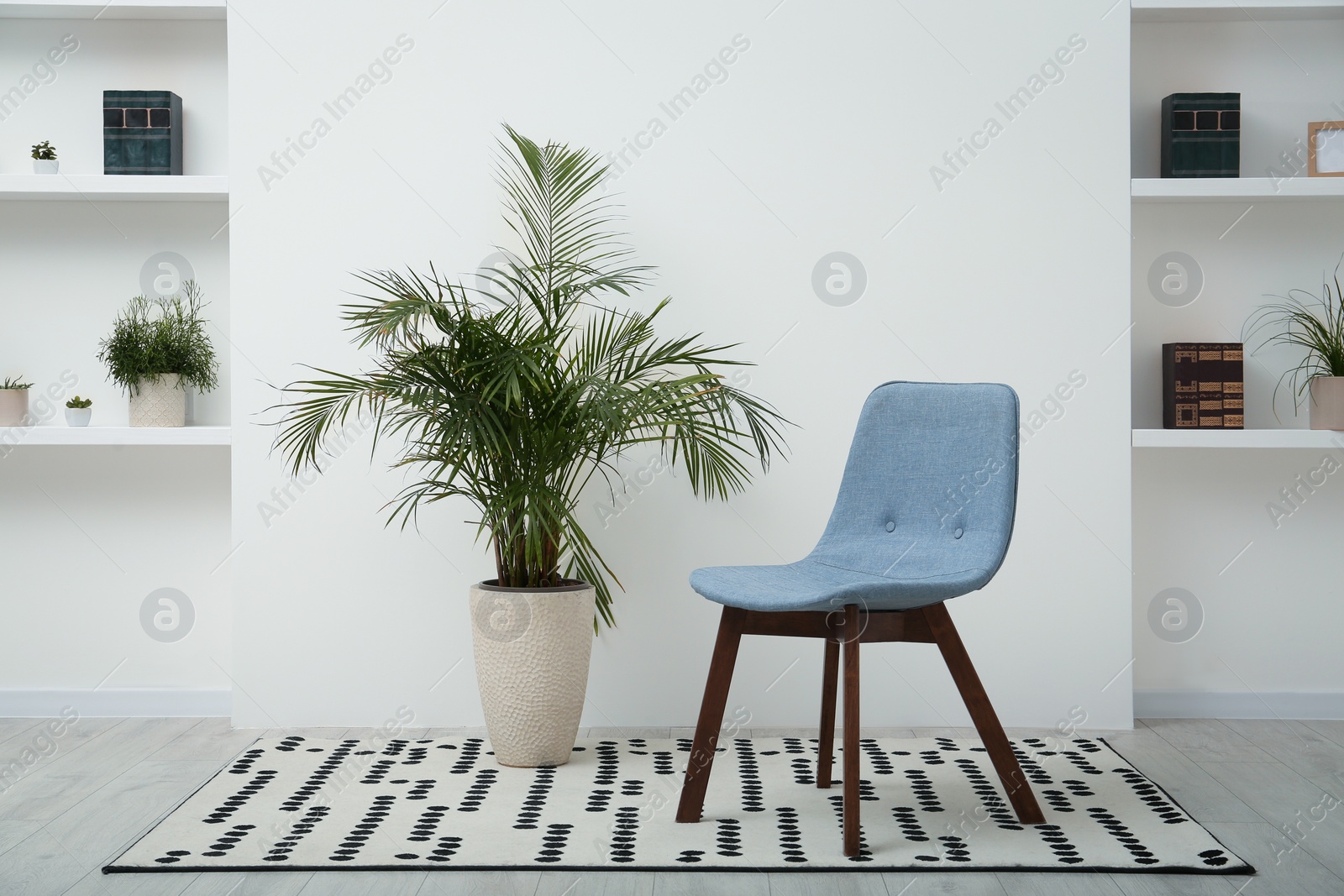 Photo of Stylish comfortable grey chair and beautiful houseplant in light room