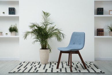 Stylish comfortable grey chair and beautiful houseplant in light room