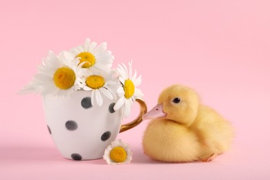 Photo of Baby animal. Cute fluffy duckling near flowers on pink background