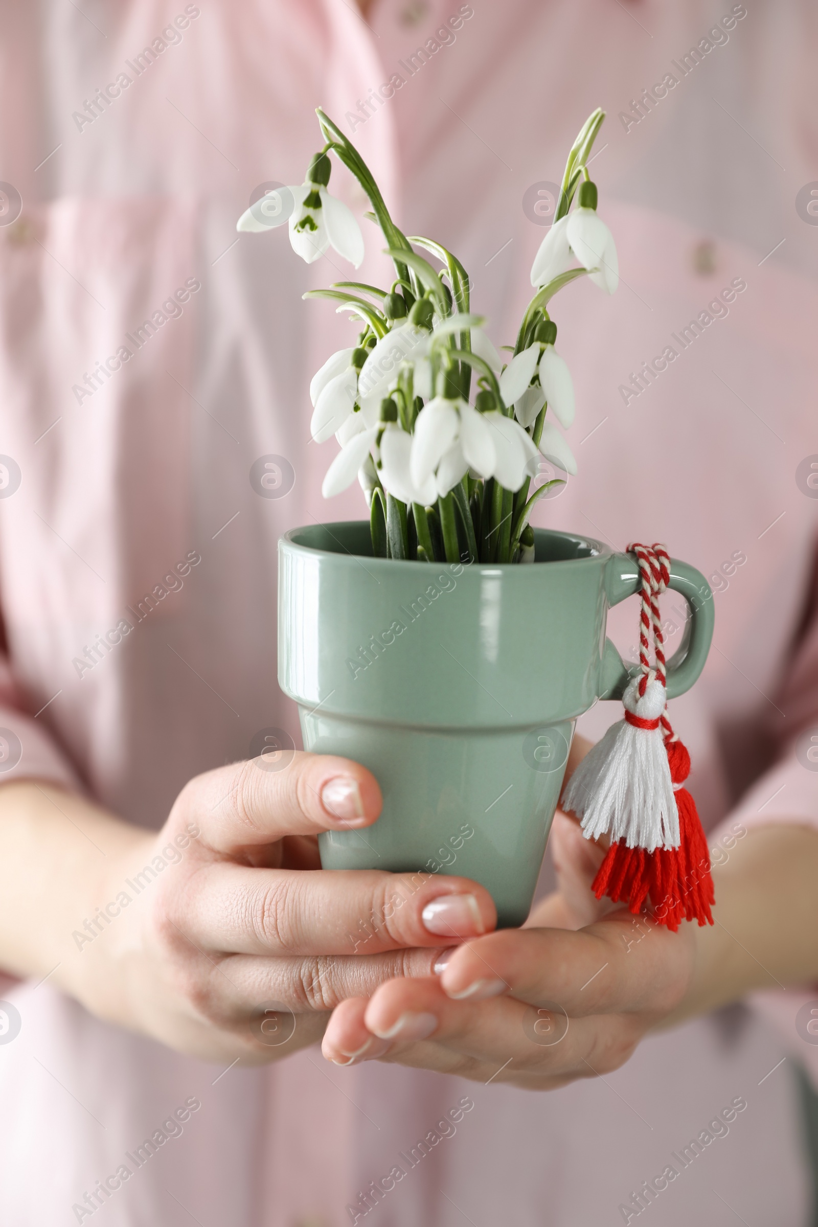Photo of Woman holding pot with beautiful snowdrops and traditional martisor, closeup. Symbol of first spring day