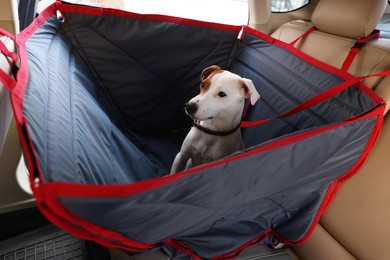 Photo of Cute Jack Russel Terrier dog in bag carrier inside car. Pet accessory