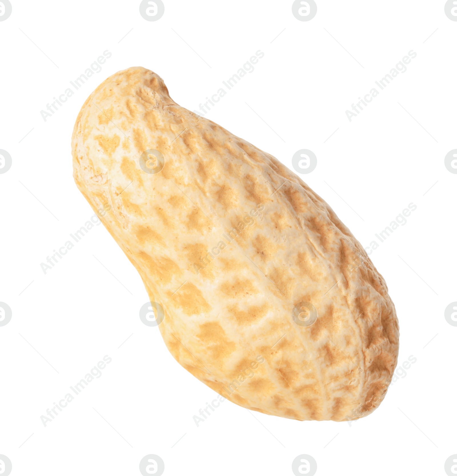 Photo of One fresh unpeeled peanut isolated on white