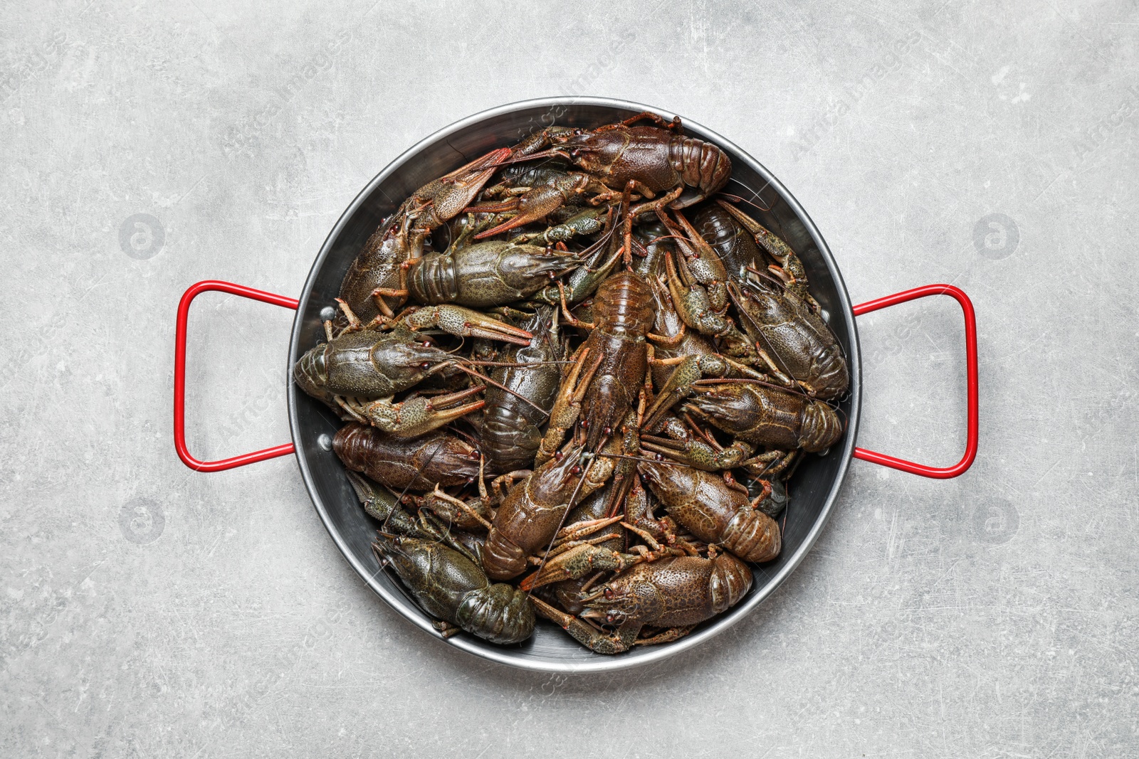 Photo of Fresh raw crayfishes on grey table, top view